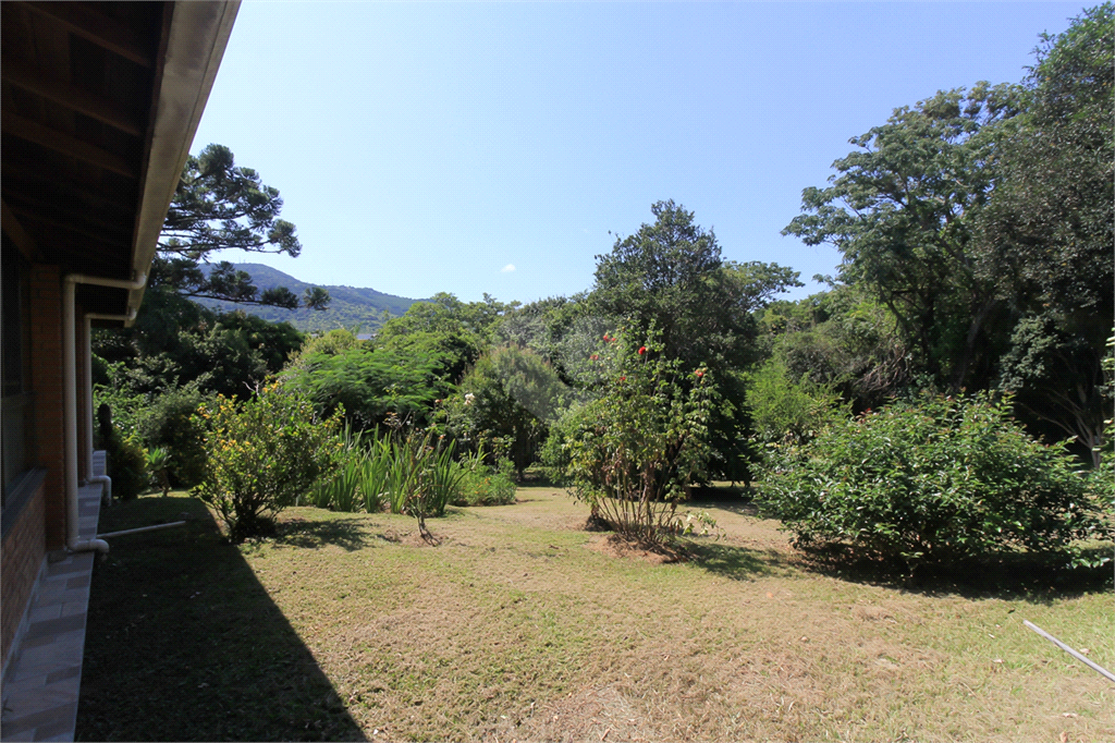 Venda Sítio Bragança Paulista Área Rural De Bragança Paulista REO656982 16