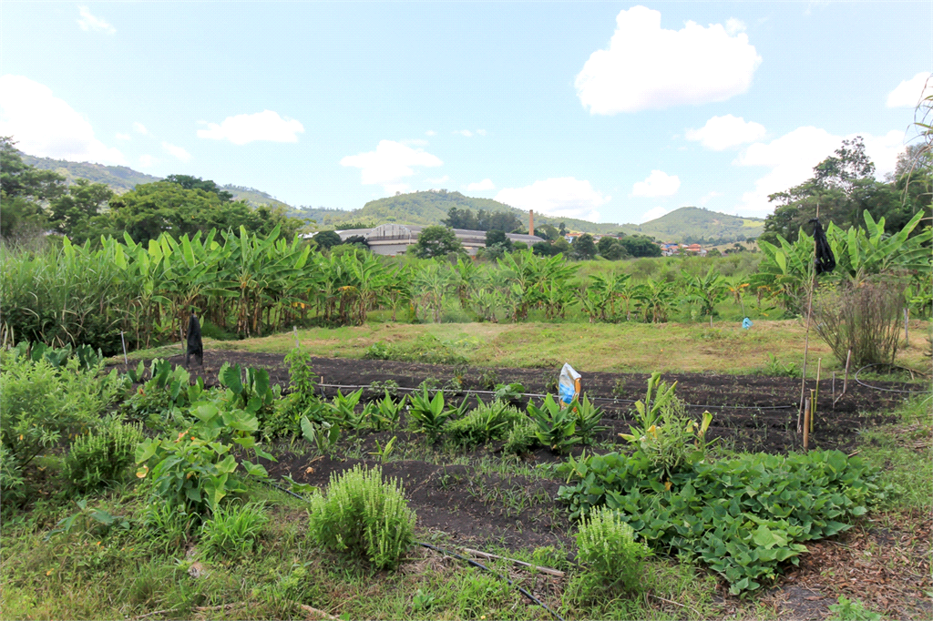 Venda Sítio Bragança Paulista Área Rural De Bragança Paulista REO656982 136