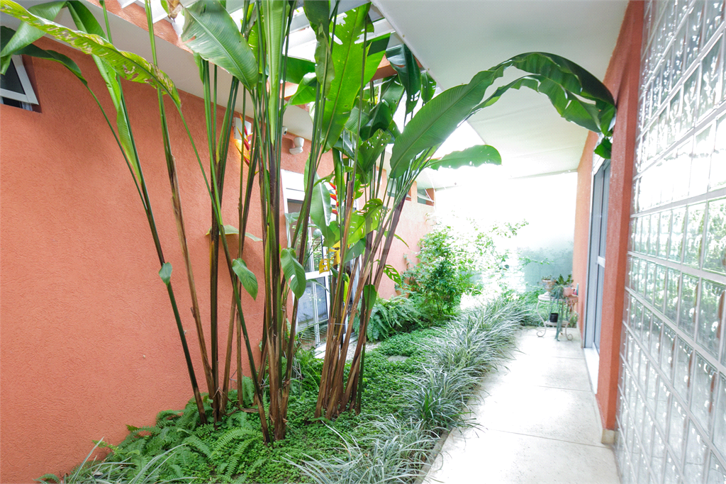 Venda Casa térrea São Paulo Santo Amaro REO657555 5