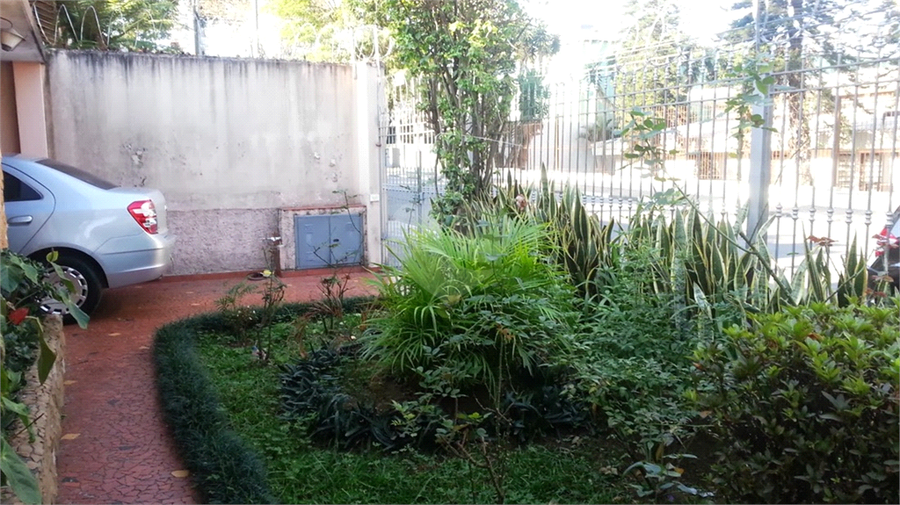Foto REO65771
