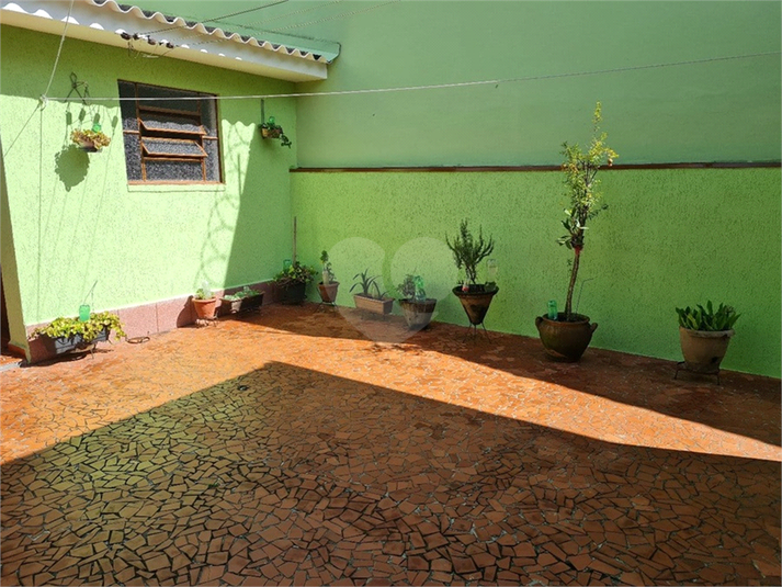 Foto REO65771