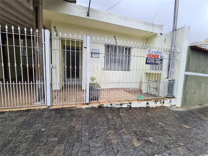 Foto REO657854