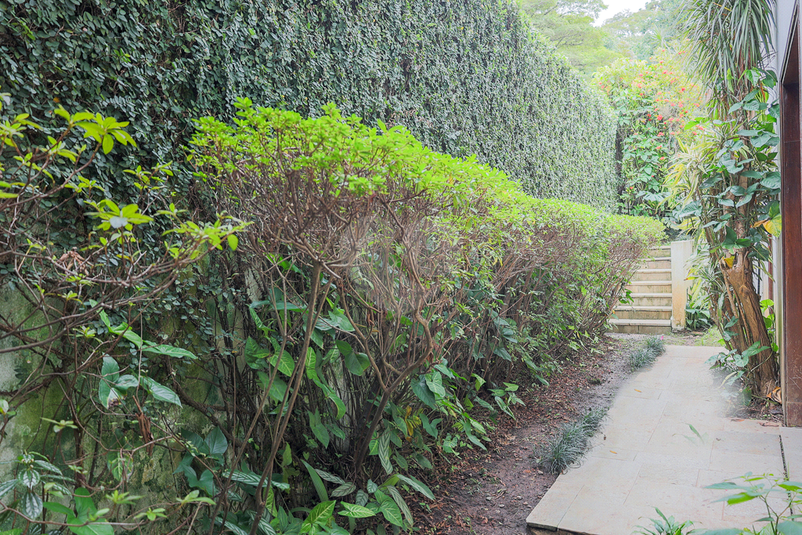 Venda Casa térrea São Paulo Vila Tramontano REO657866 40