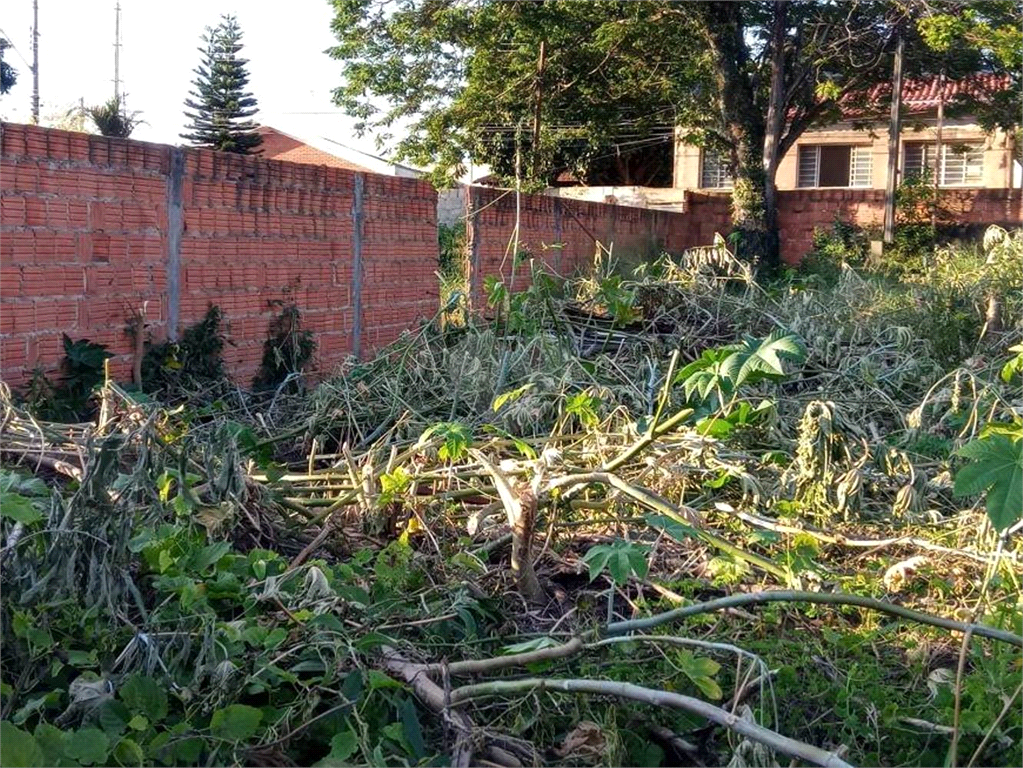 Venda Terreno São Carlos Jardim São Carlos REO657969 12