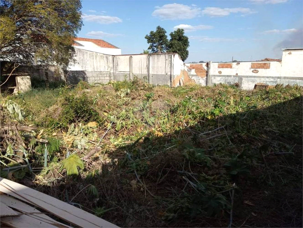 Venda Terreno São Carlos Jardim São Carlos REO657969 5