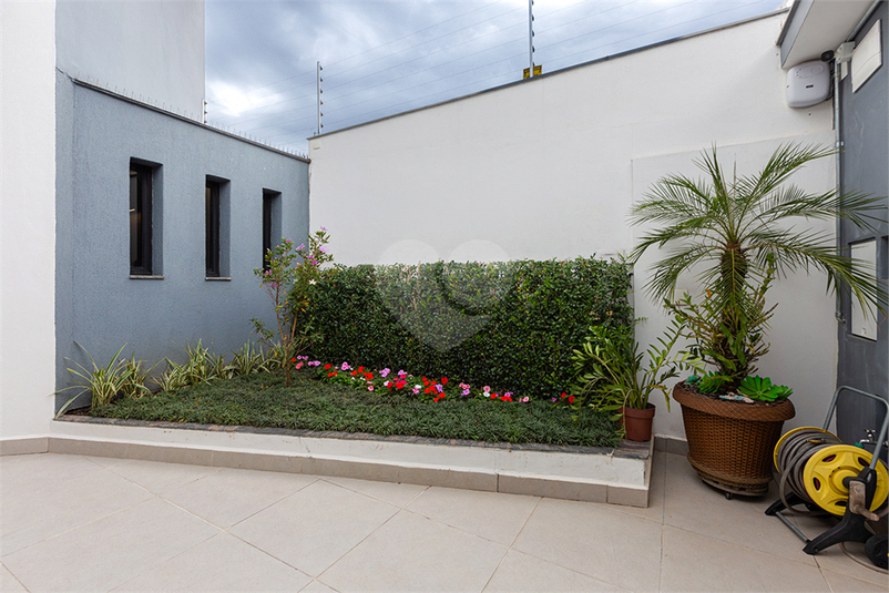 Foto REO658076