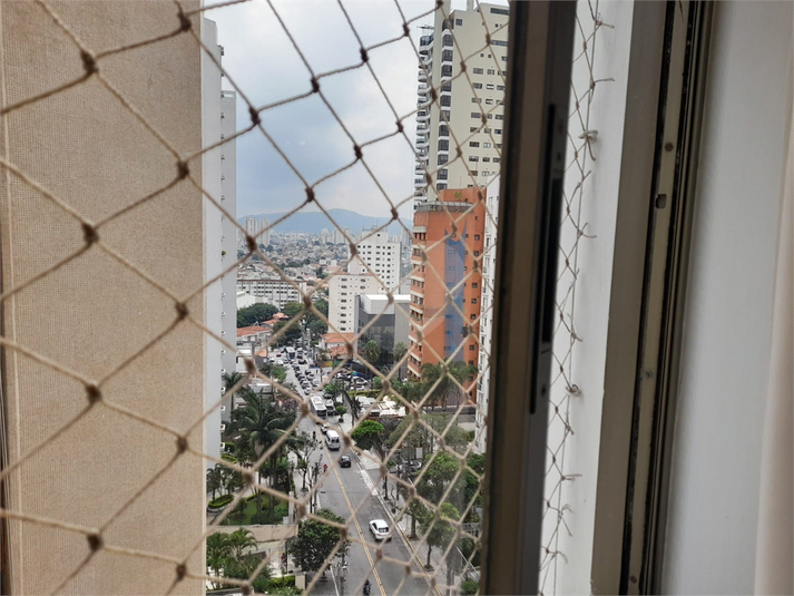 Foto REO658082