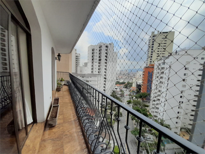 Foto REO658082