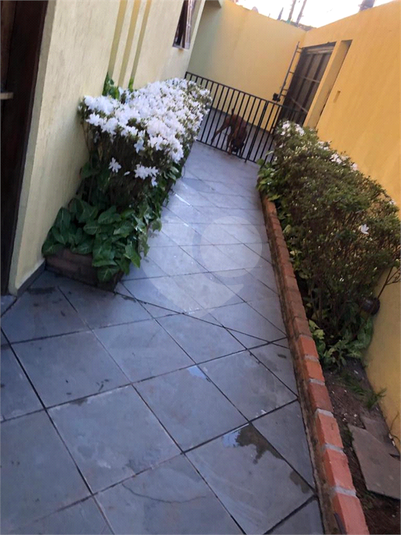 Foto REO658100