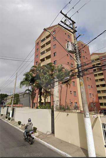 Foto REO658265