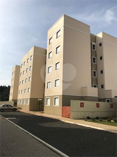 Venda Apartamento Cachoeirinha Jardim Betânia REO658558 10