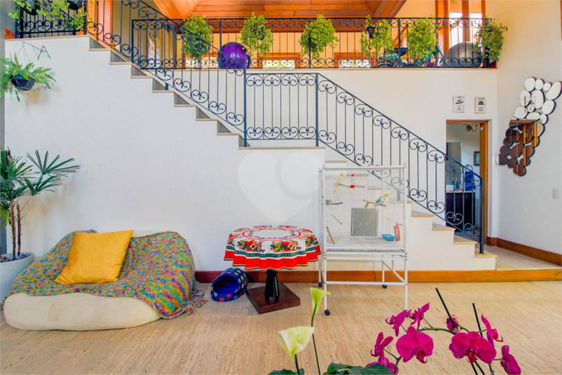 Foto REO65886
