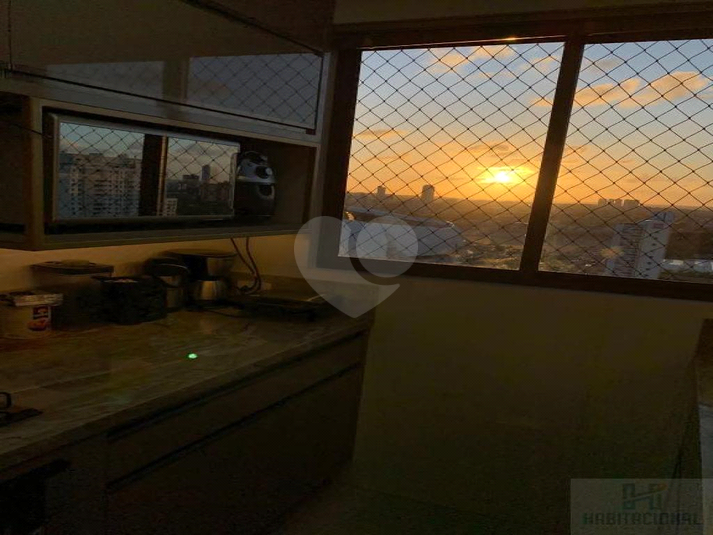 Foto REO658972