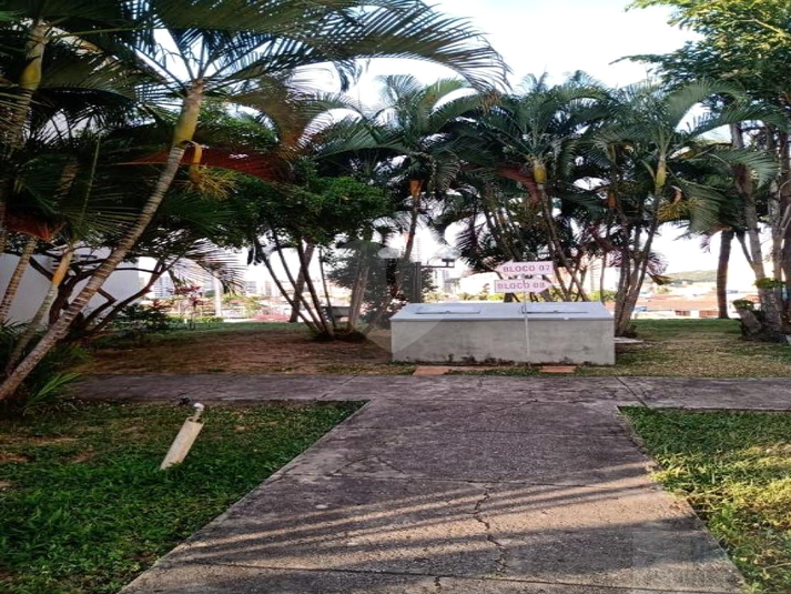 Foto REO659094