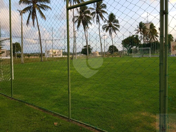 Foto REO659096