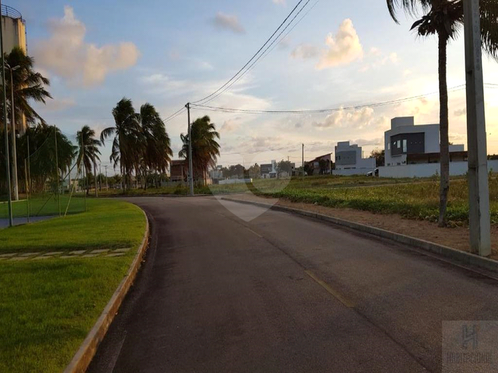 Foto REO659096
