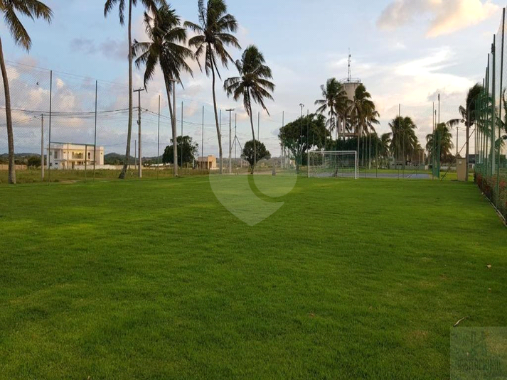 Foto REO659096