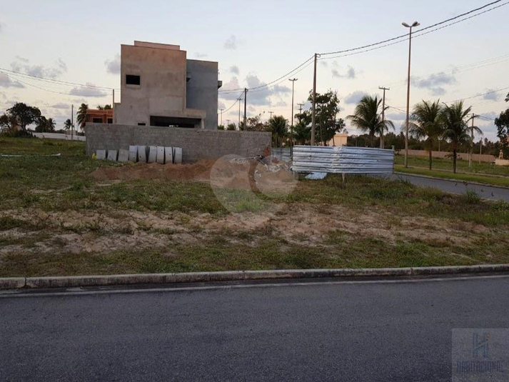 Foto REO659096