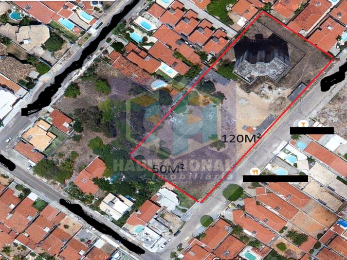 Foto REO659155