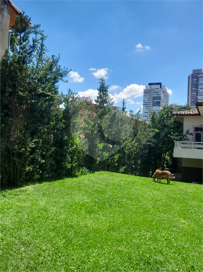 Foto REO65916
