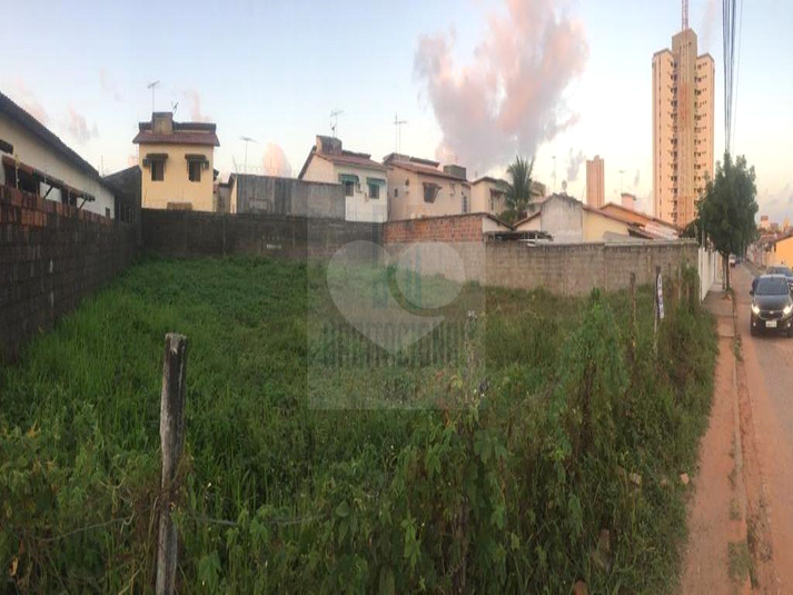 Foto REO659161