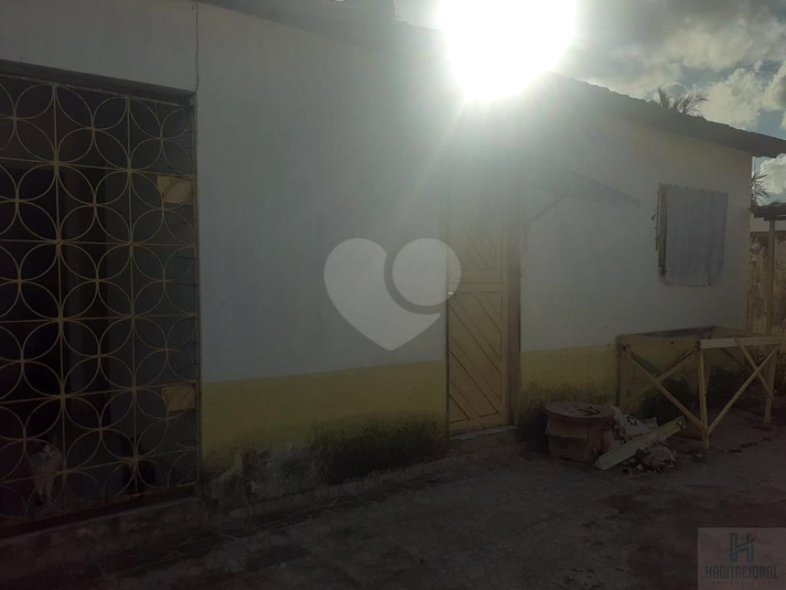 Foto REO659167
