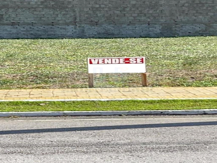 Foto REO659188
