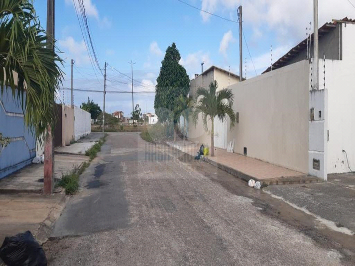 Foto REO659204