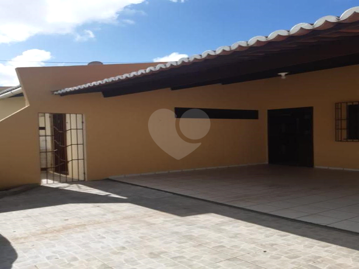 Foto REO659226