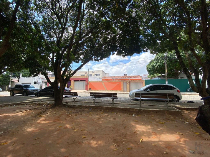 Foto REO659254