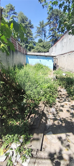 Foto REO659327