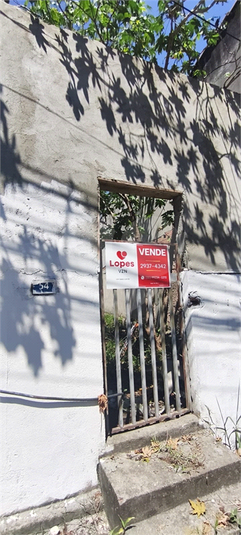 Foto REO659327