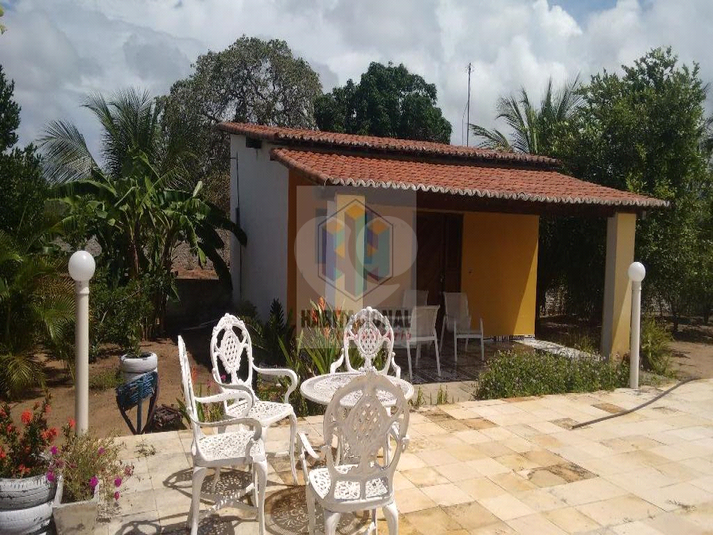 Foto REO659348