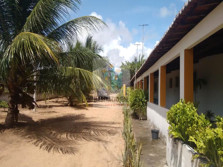 Foto REO659348