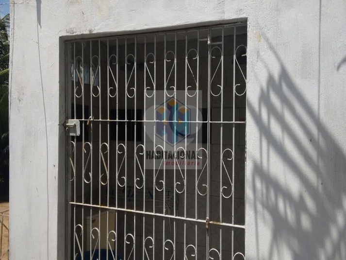 Foto REO659348