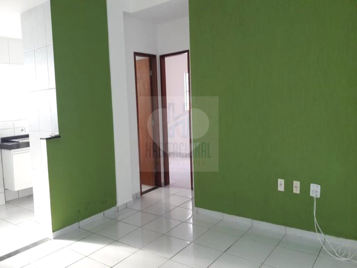 Foto REO659351