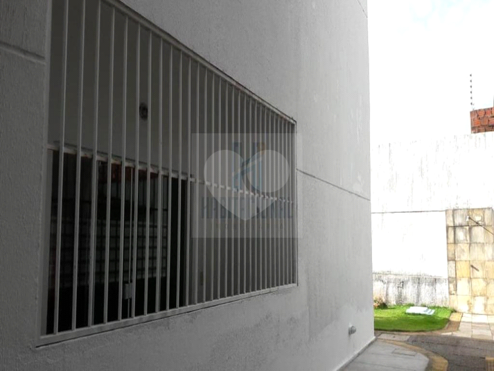 Foto REO659351