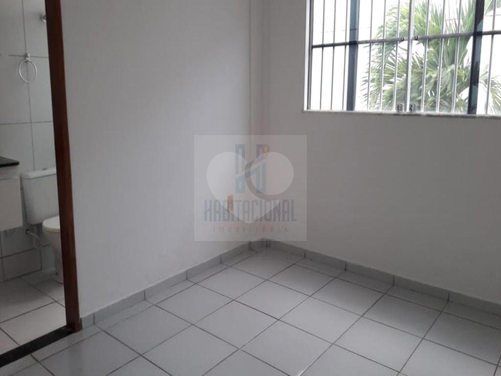 Foto REO659351