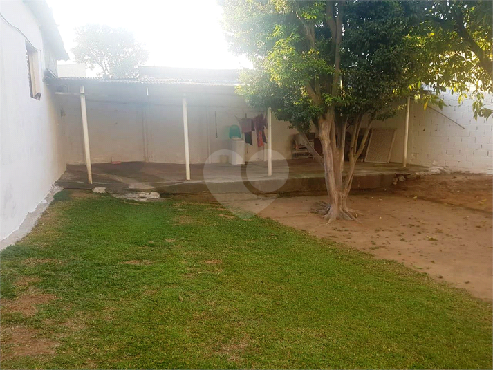 Foto REO659352