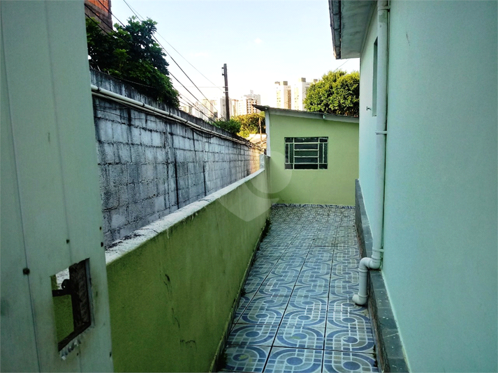 Foto REO659352