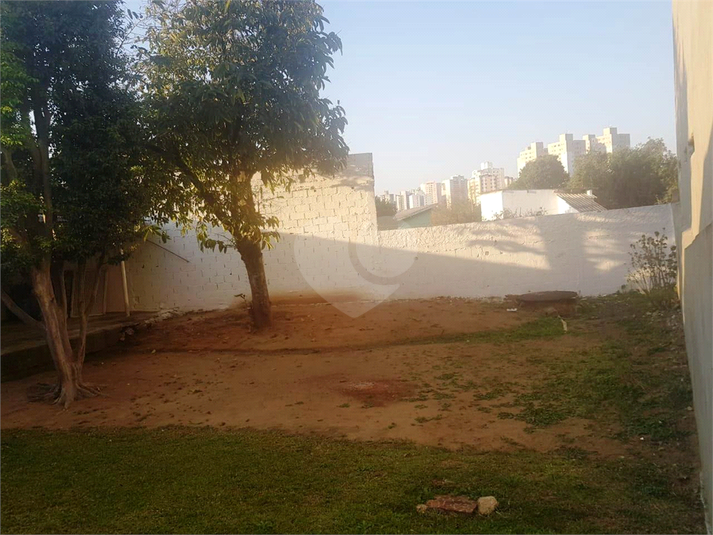 Foto REO659352