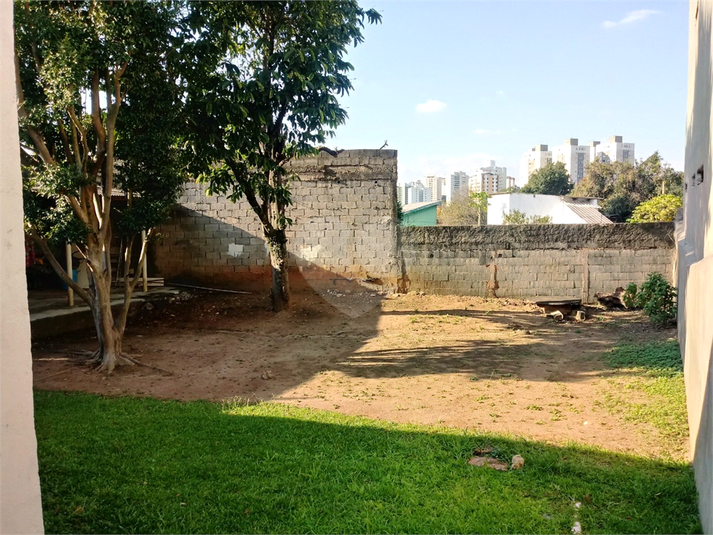 Foto REO659352