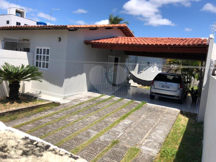 Foto REO659378