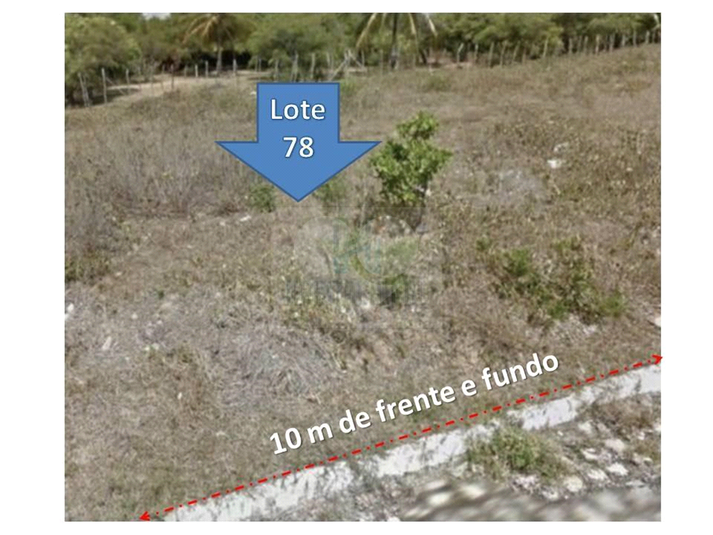 Foto REO659395