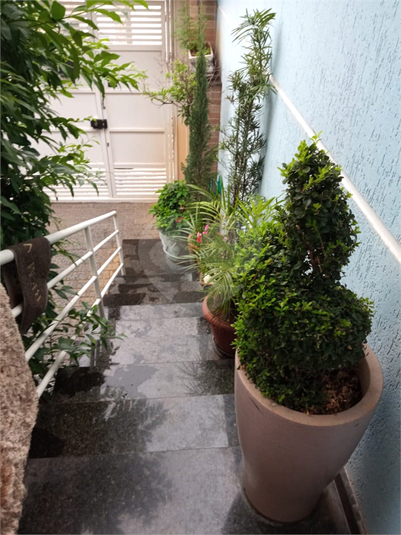 Foto REO659413