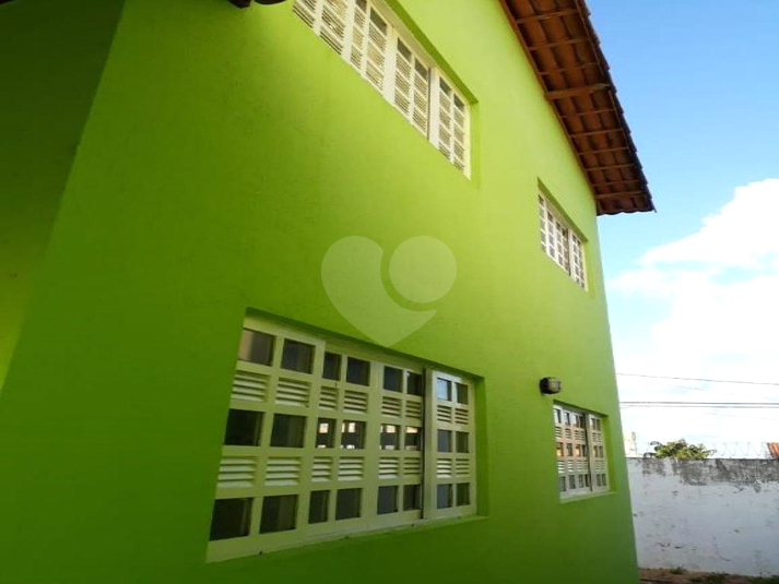 Foto REO659480