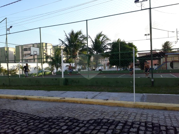 Foto REO659480