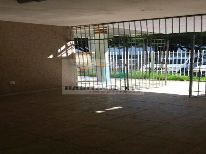 Foto REO659490