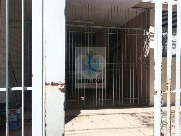 Foto REO659490