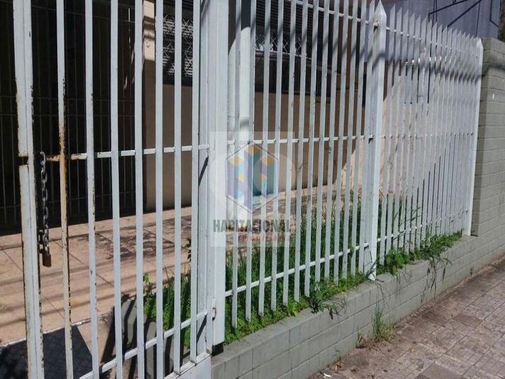 Foto REO659490